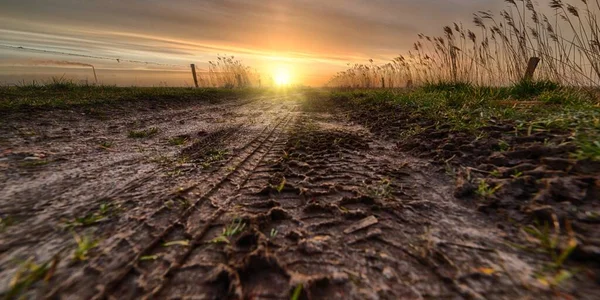 Hermosa puesta de sol sobre un campo fangoso en el campo —  Fotos de Stock