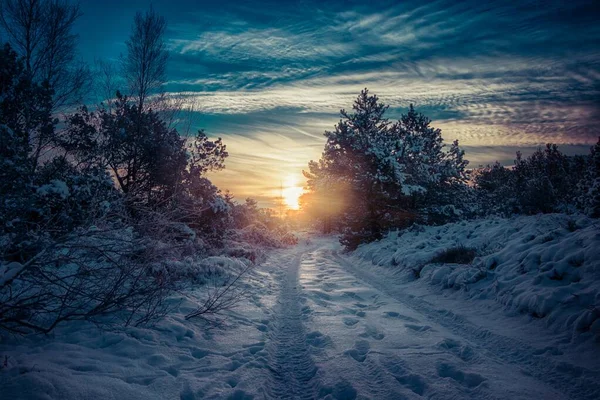 Beautiful shot of the sun setting over a snowy pathway in the middle of a forest — Stock Photo, Image