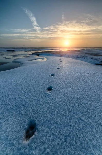 Вертикальный Снимок Захватывающего Восхода Солнца Замерзшем Пляже Чистым Небом — стоковое фото