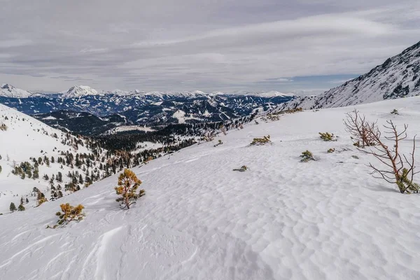 오스트리아 눈덮인 산들의 감동적 — 스톡 사진