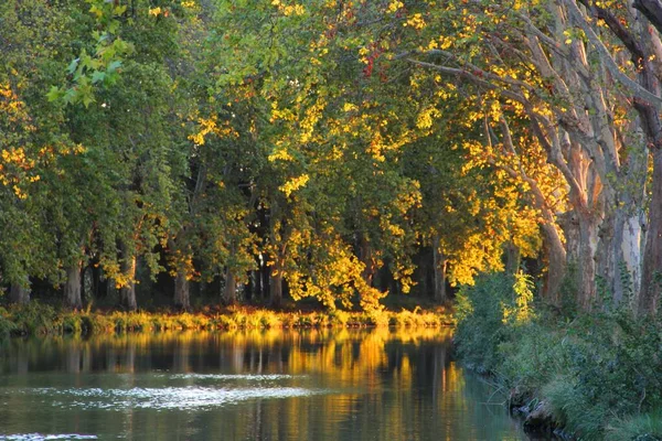 Zakres kolorowych drzew odbitych w rzece - idealne na chłodne naturalne tło — Zdjęcie stockowe