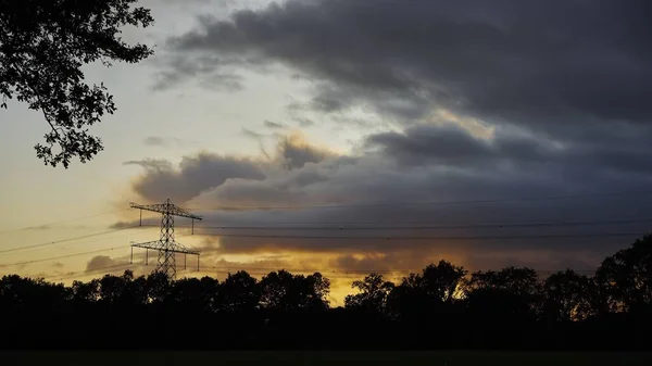 Прекрасний знімок силуетів дерев під хмарним небом під час заходу сонця — стокове фото