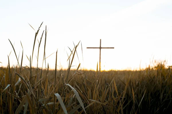 Closeup shot of a grassy field with a blurred cross in the background — 스톡 사진