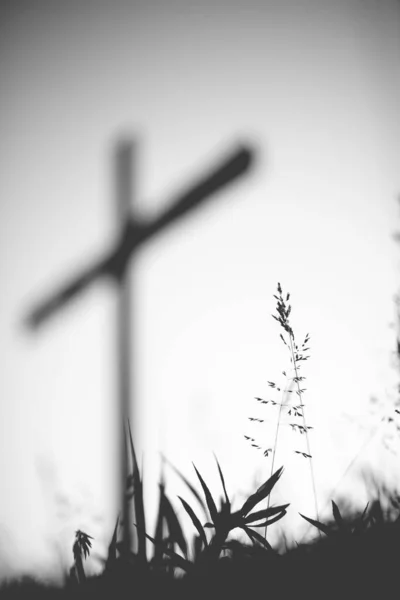 Tiro vertical a escala de grises de un campo de hierba con una cruz borrosa en el fondo — Foto de Stock