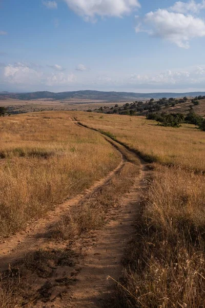 Kenya Nairobi Samburu Mavi Gökyüzünün Altındaki Bir Yolun Dikey Görüntüsü — Stok fotoğraf