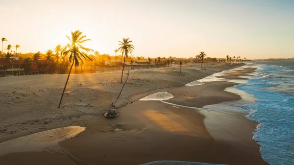 Zapierające dech w piersiach zdjęcie palm na plaży nad pięknym oceanem — Zdjęcie stockowe