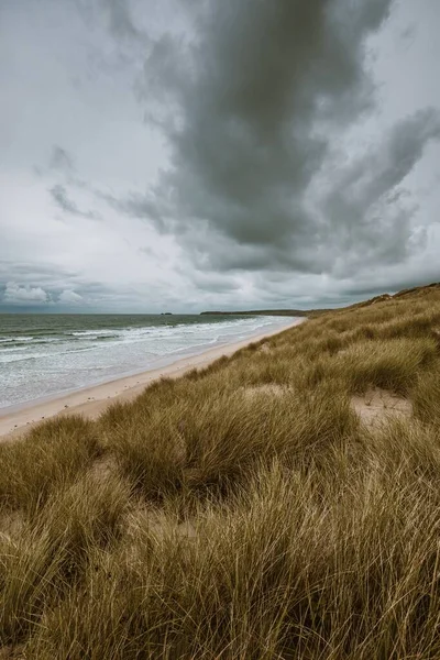 Colpo verticale dell'erba spiaggia coperta dal mare calmo catturato in Cornovaglia, Inghilterra — Foto Stock