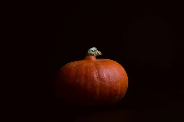 Foto de ángulo alto de una deliciosa calabaza naranja sobre un fondo negro — Foto de Stock