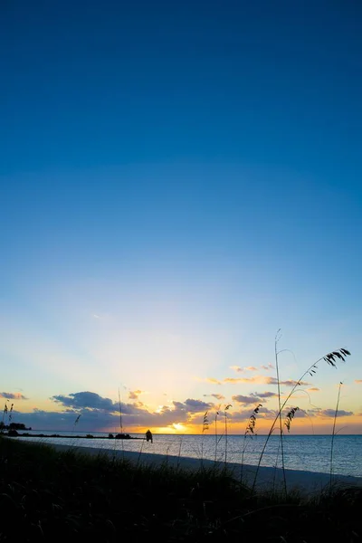 Silueta de hierba cerca de la orilla con el mar y un hermoso cielo en el fondo — Foto de Stock