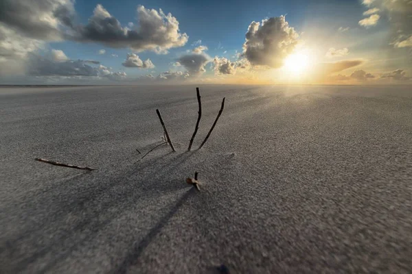 Bella foto del sole che sorge su una spiaggia sabbiosa sulla riva del mare — Foto Stock