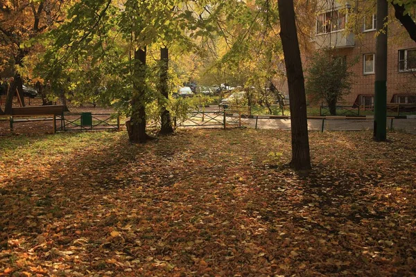 秋天在莫斯科一座住宅的院子里拍了一张漂亮的照片 — 图库照片