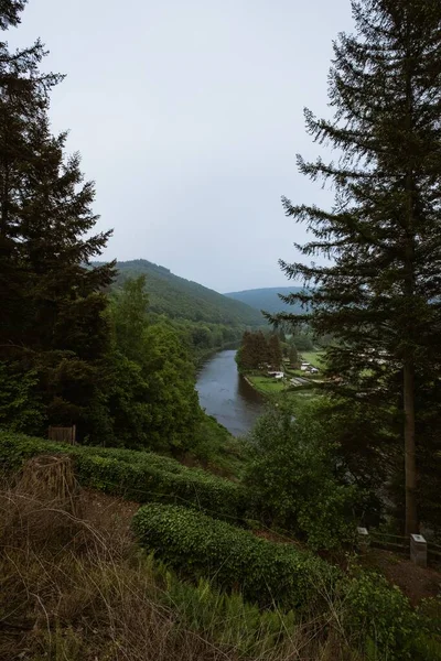 Een Verticale Opname Van Een Rivier Tussen Prachtige Bomen Bergen — Stockfoto