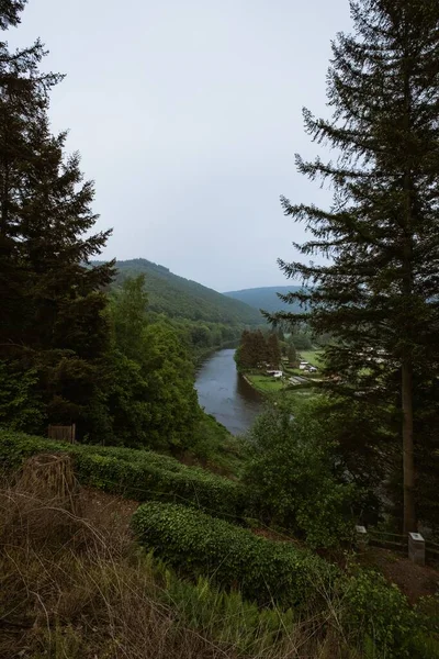 Tiro Vertical Rio Entre Belas Árvores Montanhas Capturadas Bélgica — Fotografia de Stock