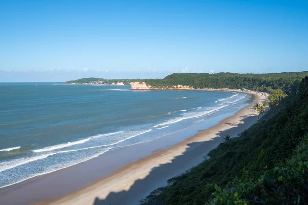 Alto ángulo de tiro de la hermosa playa cubierta de árboles por el océano tranquilo capturado en Pipa, Brasil — Foto de Stock