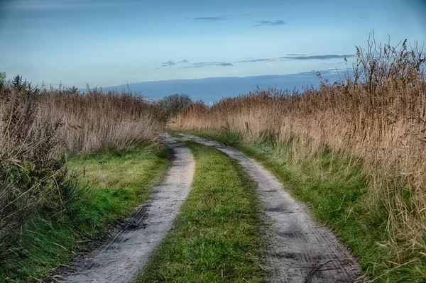 Beautiful shot of a pathway in the middle of a field in the countryside — Stock Photo, Image