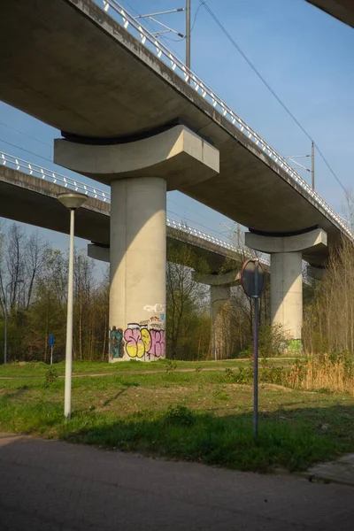 Amsterdam Nederland Mrt 2019 Een Foto Van Trein Overbrugt Die — Stockfoto