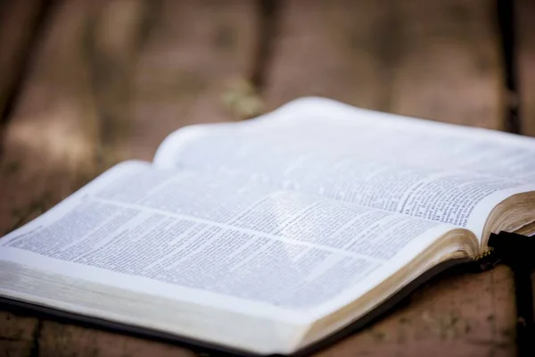 Selektywne ujęcie z otwartej Biblii na drewnianej powierzchni z rozmytym tłem — Zdjęcie stockowe