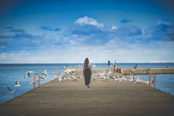 Mulher caminhando em um caminho de madeira em direção às gaivotas com um fundo embaçado — Fotografia de Stock
