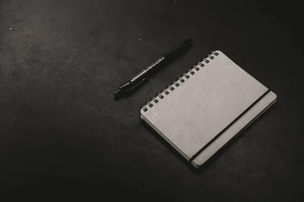 笔记本电脑和钢笔的灰度高角照片 — 图库照片