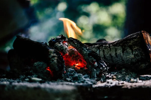 Tiro de perto do fogo e alguns troncos de madeira — Fotografia de Stock