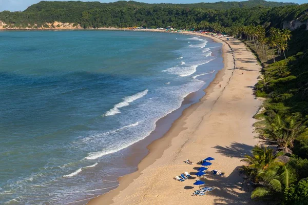 Krásný Výhled Pláž Pokrytou Stromy Vlnitého Oceánu Zachyceného Pipa Brazílie — Stock fotografie