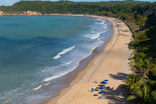 Piękny Widok Drzewa Pokrytego Plaży Przez Falisty Ocean Przechwycony Pipa — Zdjęcie stockowe