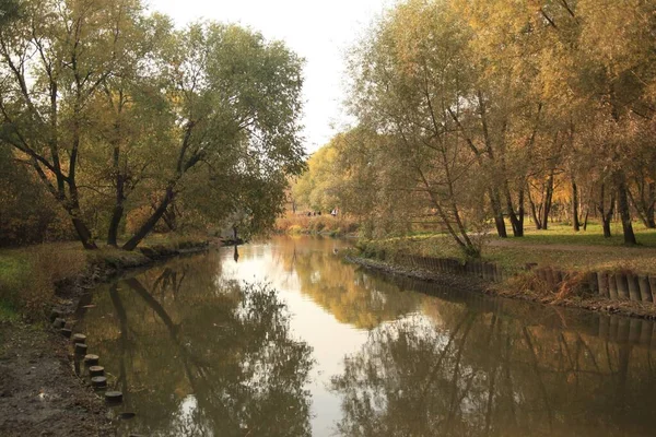 Vacker bild av en flod i parken i Moskva med återspegling av träden och himlen — Stockfoto