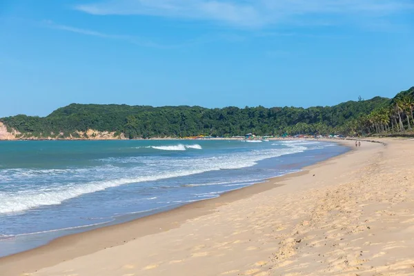 Hermosa vista de la playa cubierta de árboles por el océano ondulado capturado en Pipa, Brasil — Foto de Stock