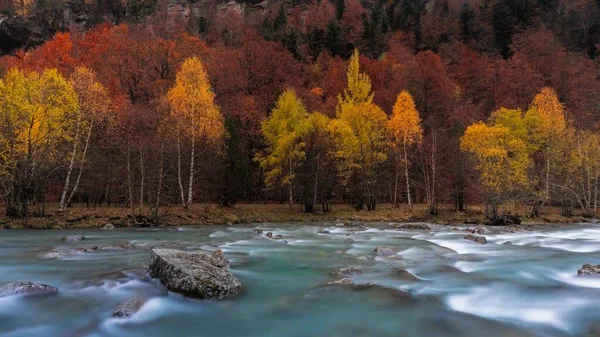 秋天的风景 河水流淌 秋天的树木寒冷 西班牙Ordesa国家公园 — 图库照片