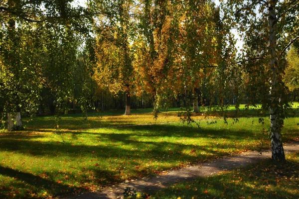 Schöne Aufnahme Eines Parks Moskau Bei Sonnigem Herbstwetter — Stockfoto