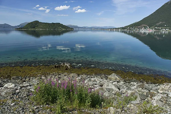 Hermoso Paisaje Lago Que Refleja Belleza Las Montañas Cielo Lofoten — Foto de Stock