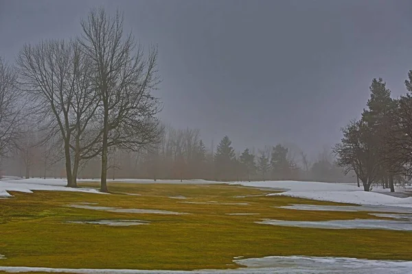 Hermosa foto de un parque cubierto de hielo y árboles en un día nublado en invierno —  Fotos de Stock