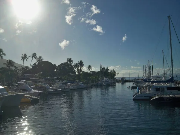 Krásný východ slunce v přístavu plném různých druhů lodí na Havaji — Stock fotografie