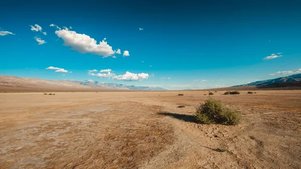 Bellissima inquadratura di cespugli nel deserto della Death Valley, California — Foto Stock