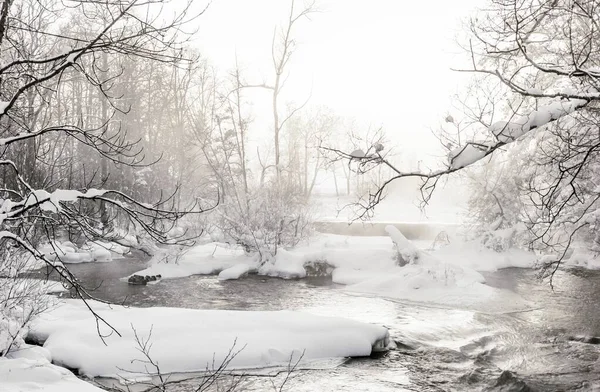 Belle vue d'une rivière gelée et d'arbres recouverts de neige par temps brumeux en hiver — Photo