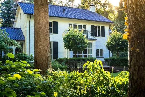 Красивий білий будинок з зеленим садом в оточенні багатьох зелених дерев — стокове фото