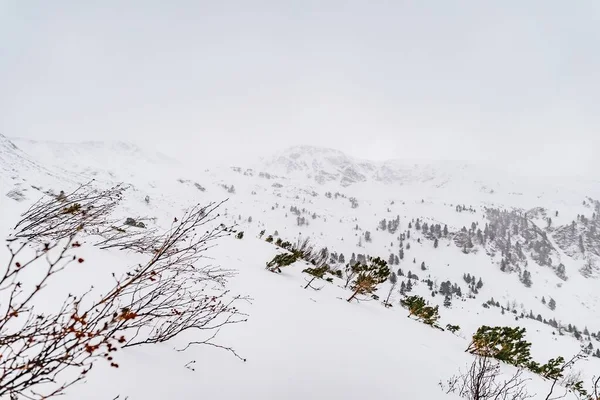 奥地利雪地阿尔卑斯山的高角镜头- -非常适合写一篇关于滑雪目的地的文章 — 图库照片