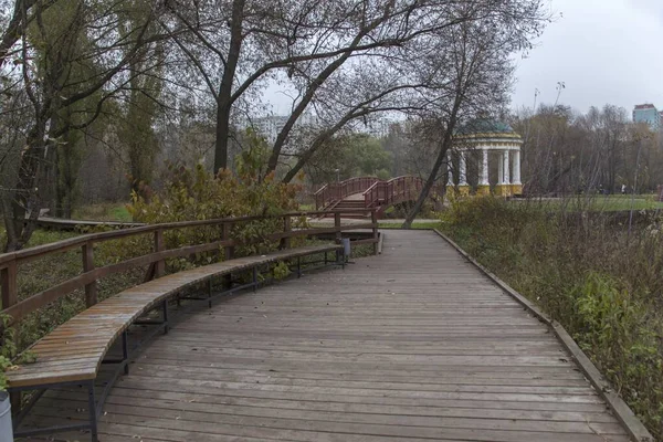 Krásný záběr na dřevěný most v blízkosti lesa v ruském parku — Stock fotografie