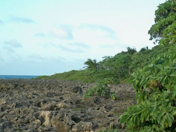 Красивое Гористое Побережье Чистым Небом Гавайях — стоковое фото