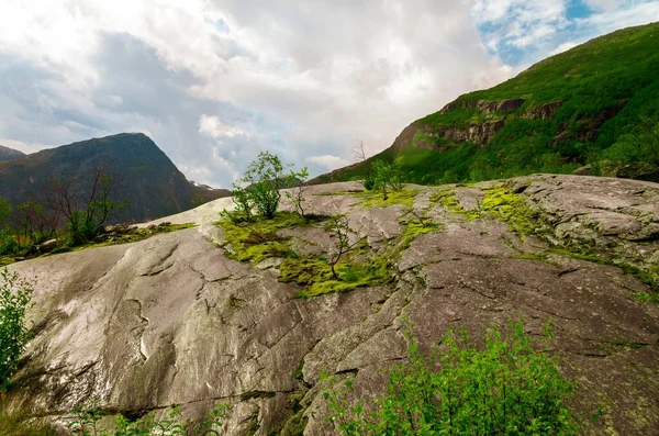 Beautiful shot of high rock formations covered with grass in Norway — Stock Photo, Image