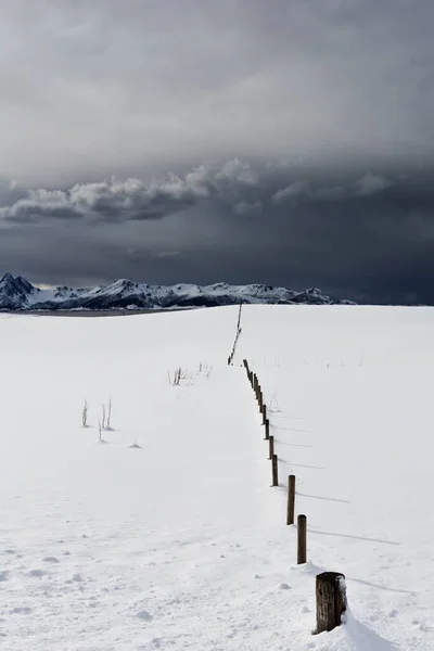 Norveç Lofoten Dağlarla Çevrili Karlı Bir Arazinin Dikey Görüntüsü — Stok fotoğraf