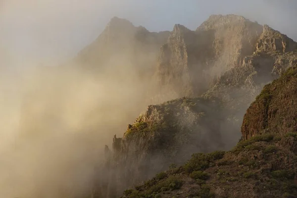 青空の下で植物に覆われた山々の美しい霧の景色 — ストック写真