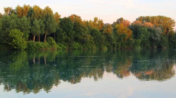Uma Bela Paisagem Muitas Árvores Refletida Lago Sob Céu Claro — Fotografia de Stock