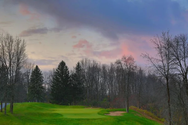 Hög vinkel skott av en vacker golfbana med höga träd under molnig himmel — Stockfoto