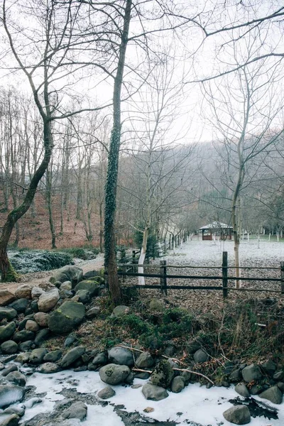 Plan vertical d'arbres nus dans la forêt un jour d'hiver et une petite maison en arrière-plan — Photo