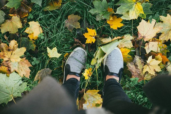 Foto de ángulo alto de una persona de pie sobre la hierba con hojas amarillas de otoño — Foto de Stock