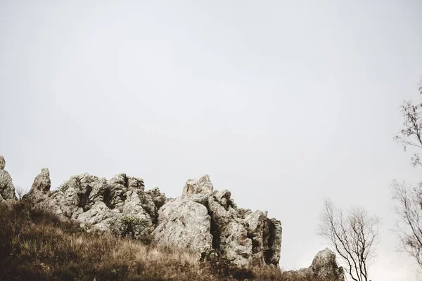 Vakkert bilde av en tørr, gresskledd bakke med steiner og bladløse trær under en skyet himmel – stockfoto