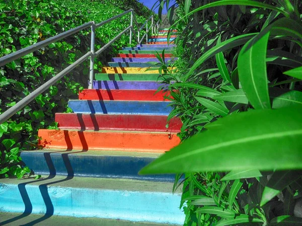 Niski kąt ujęcia kolorowych schodów otoczony zielonymi roślinami prowadzącymi do przygód — Zdjęcie stockowe