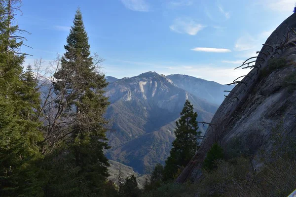 Adembenemend landschap van groene dennenbomen in de rotsachtige bergen met de bewolkte lucht op de achtergrond — Stockfoto