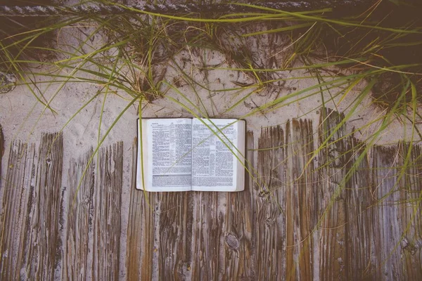 Vista aérea de una biblia abierta en un sendero de madera cerca de una orilla arenosa y plantas — Foto de Stock